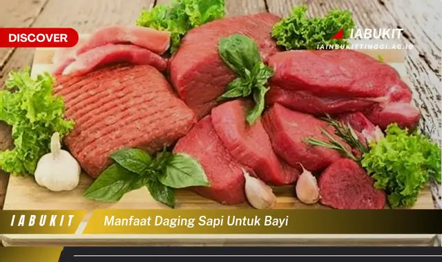 manfaat daging sapi untuk bayi