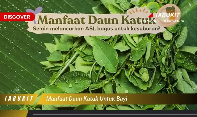 manfaat daun katuk untuk bayi