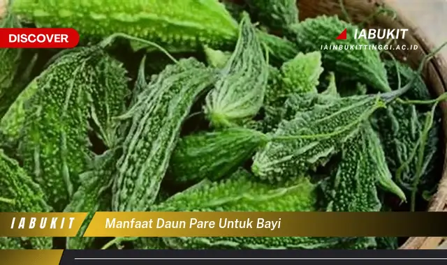 manfaat daun pare untuk bayi