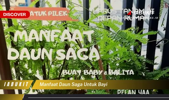 manfaat daun saga untuk bayi