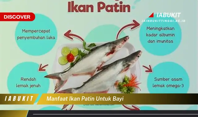 manfaat ikan patin untuk bayi