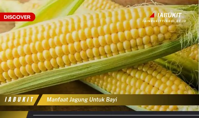 manfaat jagung untuk bayi