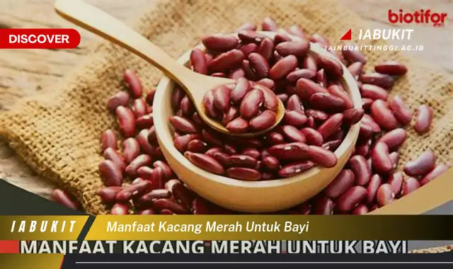 manfaat kacang merah untuk bayi