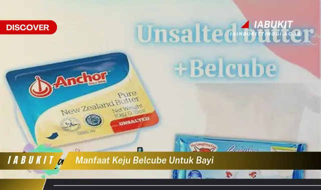 manfaat keju belcube untuk bayi