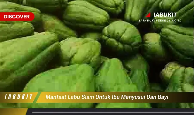 manfaat labu siam untuk ibu menyusui dan bayi