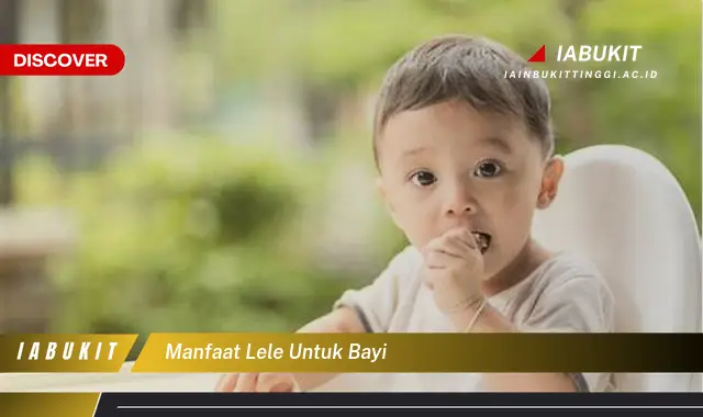 manfaat lele untuk bayi