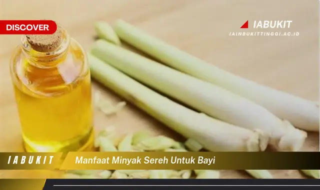 manfaat minyak sereh untuk bayi