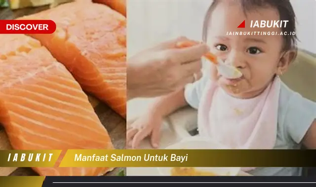 manfaat salmon untuk bayi