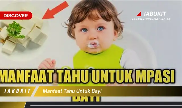 Ketahui Manfaat Mengejutkan Tahu untuk Bayi, Bikin Kamu Penasaran!