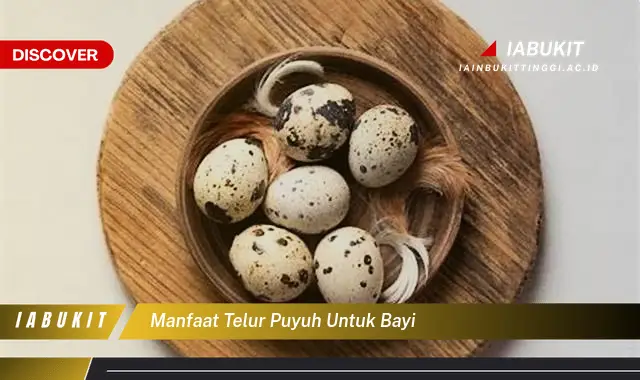 manfaat telur puyuh untuk bayi