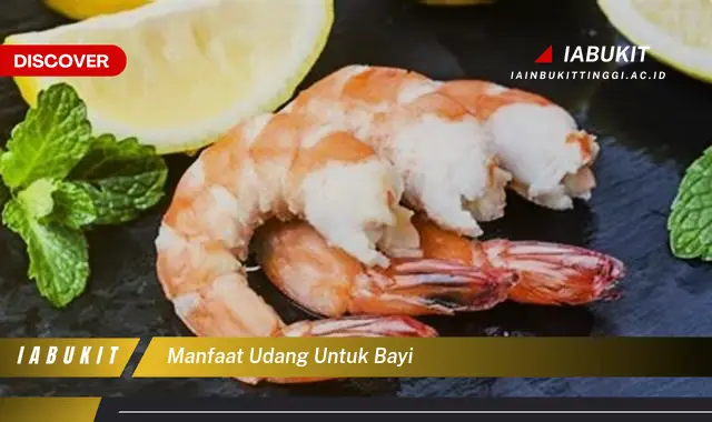 manfaat udang untuk bayi