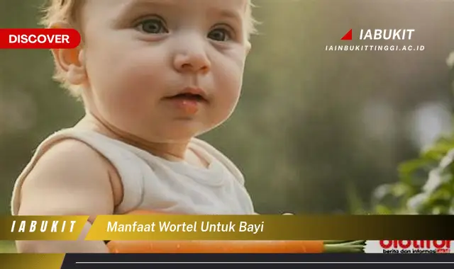 manfaat wortel untuk bayi