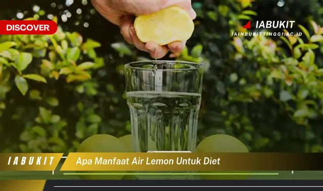 apa manfaat air lemon untuk diet