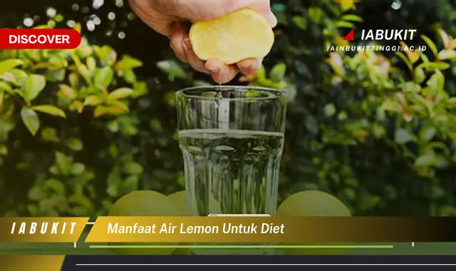 Ketahui Manfaat Air Lemon untuk Diet yang Jarang Diketahui