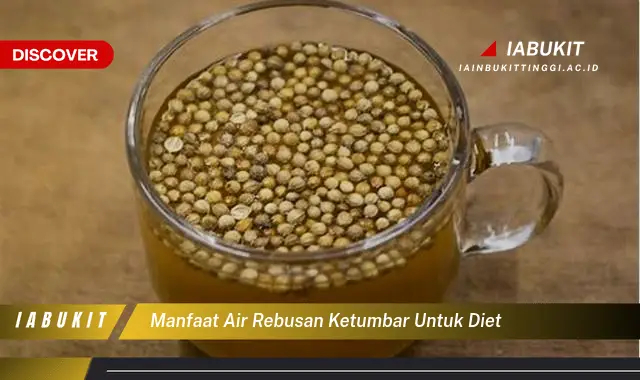 manfaat air rebusan ketumbar untuk diet