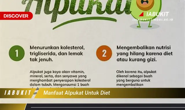 manfaat alpukat untuk diet