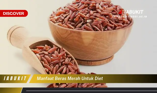 manfaat beras merah untuk diet