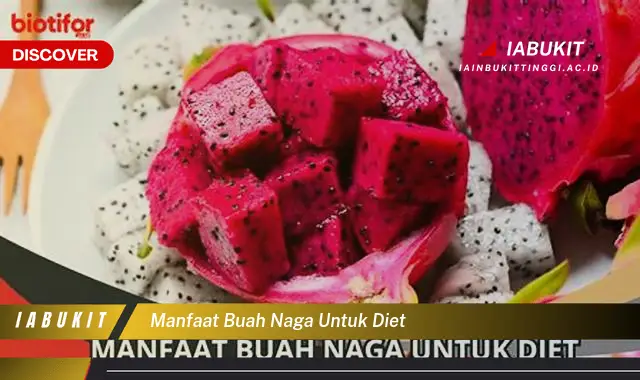 manfaat buah naga untuk diet