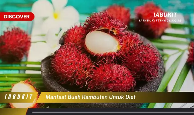 manfaat buah rambutan untuk diet