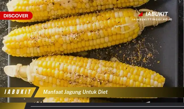 manfaat jagung untuk diet