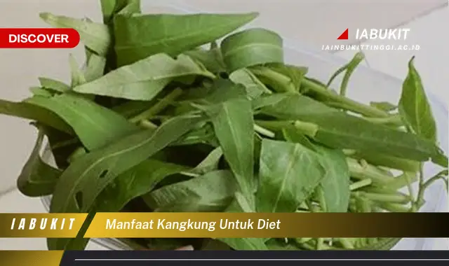 manfaat kangkung untuk diet