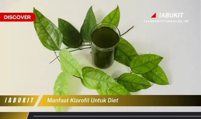 manfaat klorofil untuk diet