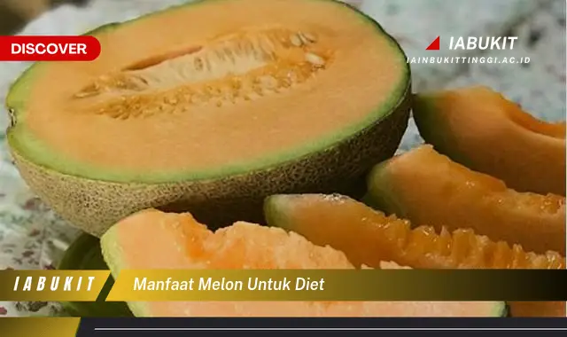 manfaat melon untuk diet