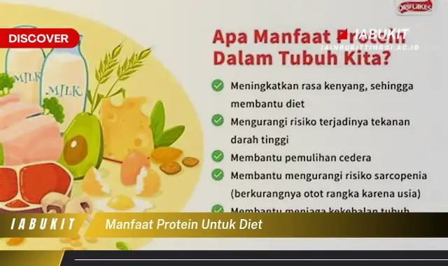 manfaat protein untuk diet