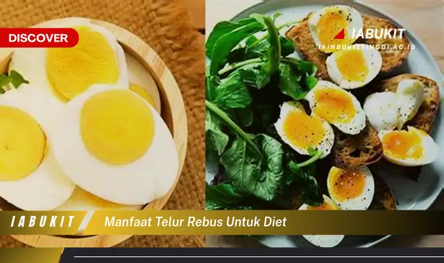 manfaat telur rebus untuk diet