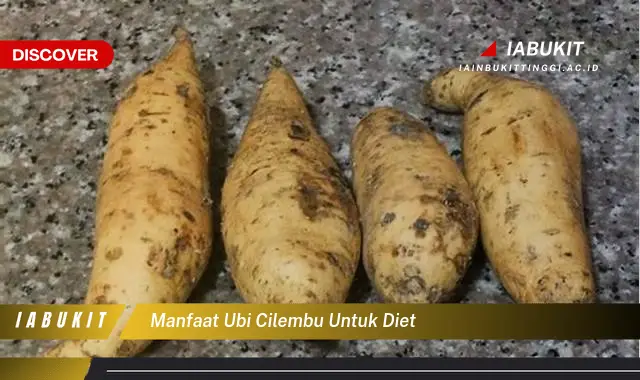 manfaat ubi cilembu untuk diet