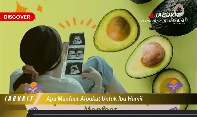 apa manfaat alpukat untuk ibu hamil