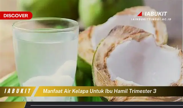 manfaat air kelapa untuk ibu hamil trimester 3 manfaat air kelapa untuk ibu hamil trimester 3