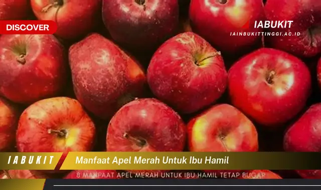 manfaat apel merah untuk ibu hamil