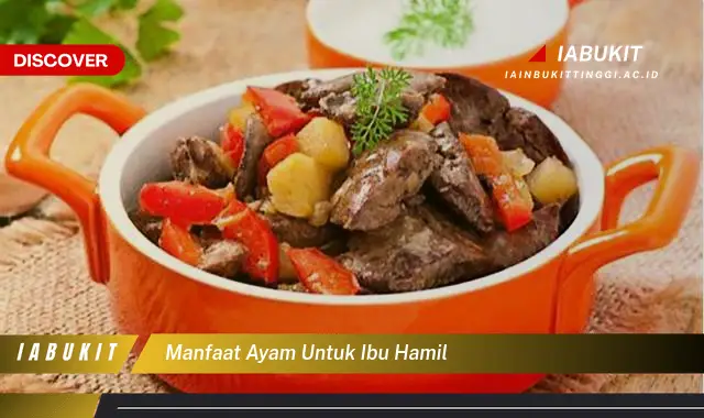 manfaat ayam untuk ibu hamil