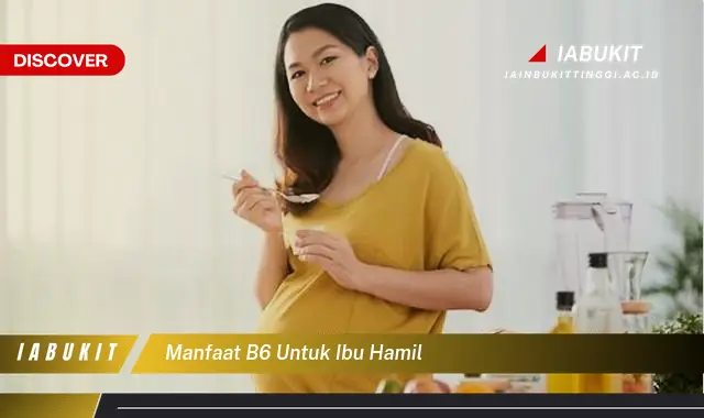 manfaat b6 untuk ibu hamil