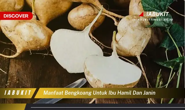 Ketahui Manfaat Bengkoang Yang Jarang Diketahui Untuk Ibu Hamil, Bikin ...