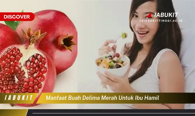 manfaat buah delima merah untuk ibu hamil