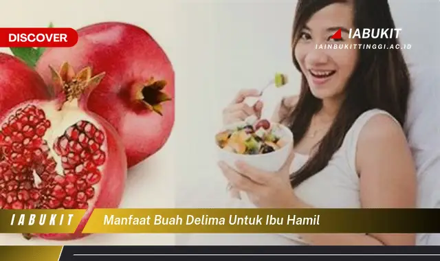 manfaat buah delima untuk ibu hamil