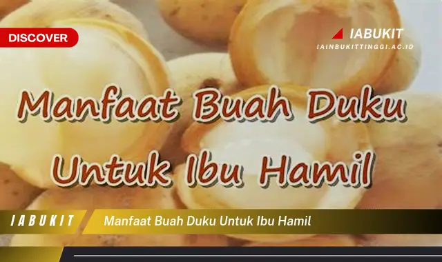 manfaat buah duku untuk ibu hamil