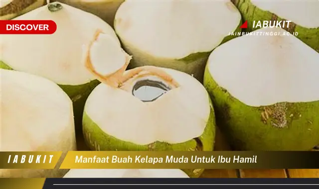 manfaat buah kelapa muda untuk ibu hamil