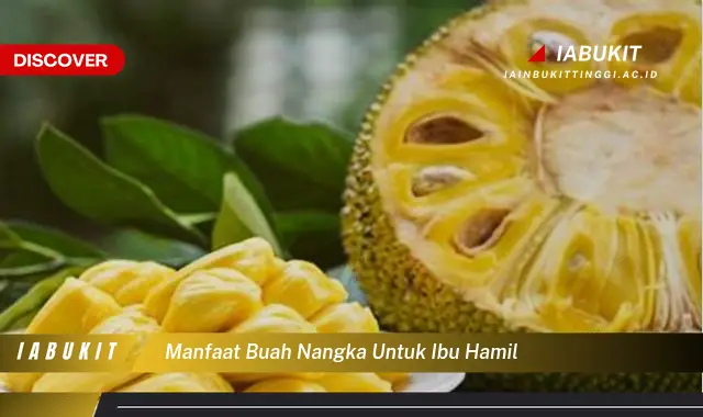 manfaat buah nangka untuk ibu hamil