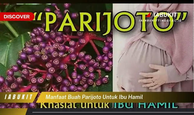 manfaat buah parijoto untuk ibu hamil