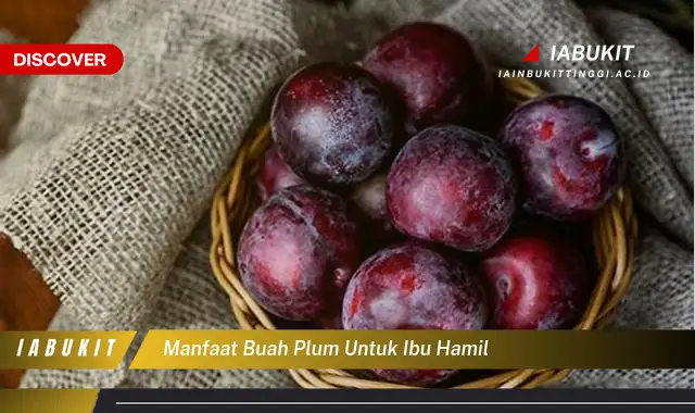 manfaat buah plum untuk ibu hamil