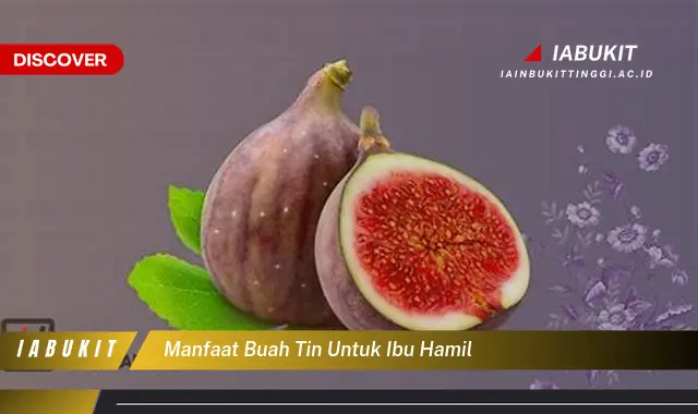 manfaat buah tin untuk ibu hamil