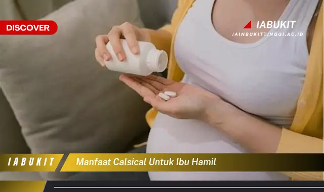 manfaat calsical untuk ibu hamil