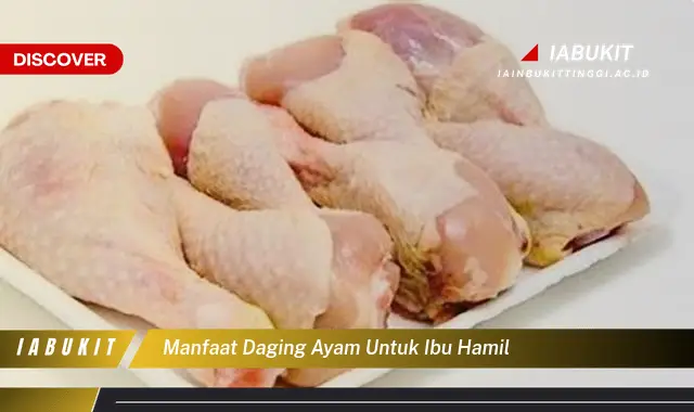 manfaat daging ayam untuk ibu hamil