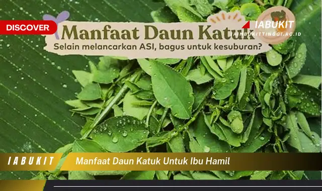 manfaat daun katuk untuk ibu hamil