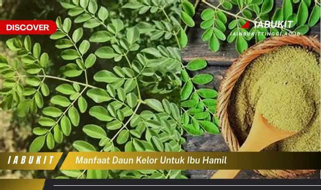 manfaat daun kelor untuk ibu hamil