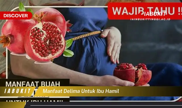 manfaat delima untuk ibu hamil