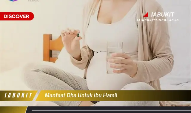 manfaat dha untuk ibu hamil